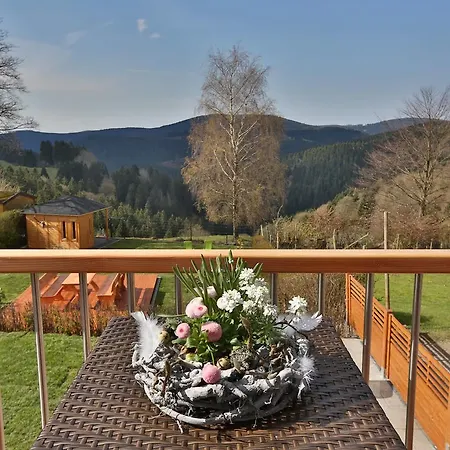 Landhaeuser Bergwiese - Hoehenblick Feriehus Sankt Andreasberg