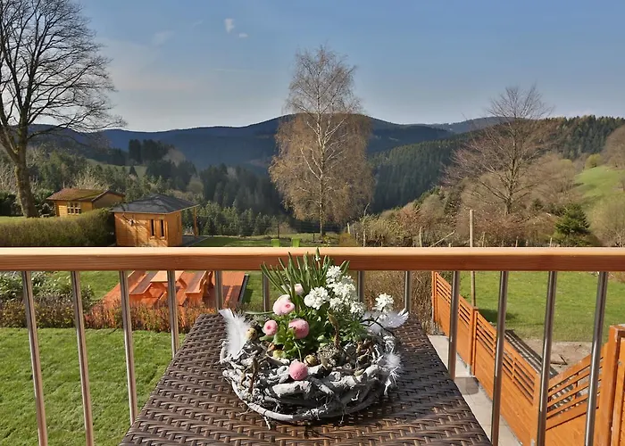 Landhaeuser Bergwiese - Hoehenblick Tatil Evi Sankt Andreasberg